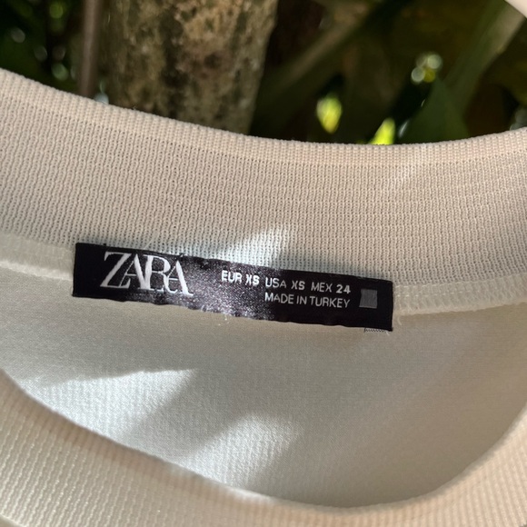 Translucent Sleeved Blouse - Picture 4 of 5